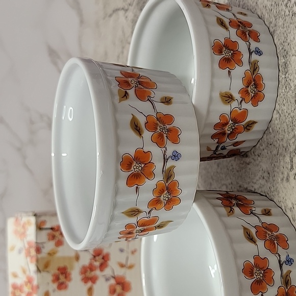 Vintage Saltera Winter Dogwood Japanese Ramekin set new in box - Picture 3 of 9